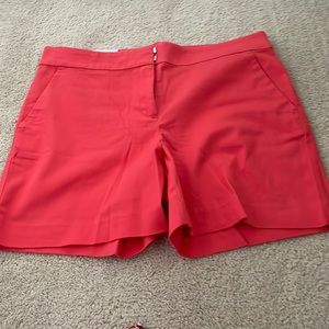 NWT Loft Riviera shorts